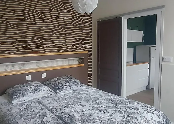 Le Gobelin Champenois - - Appartement Reims